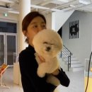 장희진 카카오 검색결과