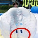 팀레오 이미지