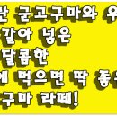 청자다방광주여대점 - 광산구 사암로215번길 101 | 청자다방광주여대점