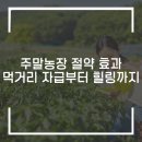 삼조농장 이미지