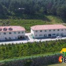 가평썰매장 이미지