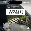 방구