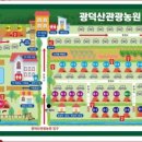 광덕산관광농원 호두나무캠핑장