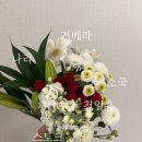 현아플라워 | 12월 꽃선물·생일선물 추천! 픽플라워 생화택배로 만든 현아부케 스타일 셀프 꽃바구니 후기