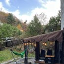 베로스테이 이미지