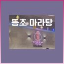 안산 상록수역 맛집 등초마라탕 후기/넌 마라탕 먹을 때가 제일 예뻐♡