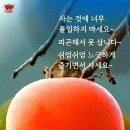 치매테스트 이미지