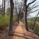 DMZ 평화의 길 4-1코스(지선코스) 이미지