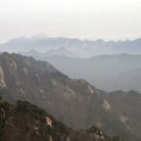 석전시장 이미지