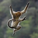 아랑유치원 | 내 각시 사랑이 지극한 남자, 난 그런 남자가 좋더라_ 우즈(Woodz) Archive. 1 첫콘 후기 (2)