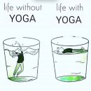 반포대로22길 94 (1) | kosha yoga 코샤요가 | 대구 범어동 요가원 all level 원데이클래스 후기 🧘🏻‍♀️🧘🏻