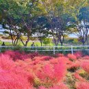 태진목장 이미지