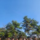 하늘마루 이미지