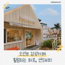 샌드비치 | 창원 마산 구산면 오션뷰 감성카페 샌드비치 방문후기
