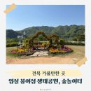 임실군민회관 | 국내 여행 추천 임실 붕어섬 생태공원 방문 만족 후기