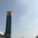 건축이야기 1 | 2025 서울건축박람회 무료입장 및 관람 후기