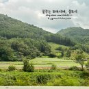 을수골 별빛계곡 이미지