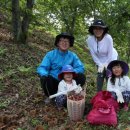 유진농장 이미지