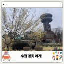 장기어린이공원 | 경기도 수원 광교호수공원 봄꽃 구경 지금 가도 될까? 프라이부르크 전망대 후기