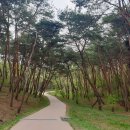 동네막국수 이미지