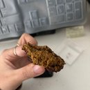 데시벨 | 수원 영통 두바이쫀 득쿠키 55데시벨 후기