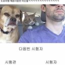 없음 - 합천군 봉산면 | 없음