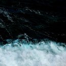 박건태 카카오 검색결과