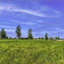 대산1로 이미지