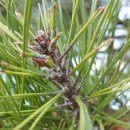 강화농약종묘사 이미지