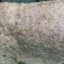 숲동물병원 이미지