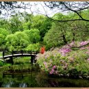 광릉수목원 이미지