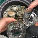 하동애견
