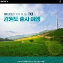 [윤더로드 소니 오프라인 세미나 2회차 후기]