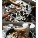 오대산늘벗 이미지