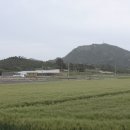일오삼민박