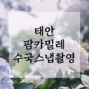 서산수선화관광농원