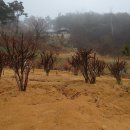 정원2농장 이미지