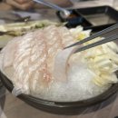오징어데이 이미지