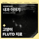 송악동물병원