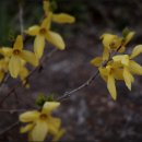 호미골Par3 골프연습장 이미지