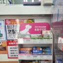 큰솔약국 네이버블로그