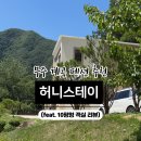 허니스테이 이미지