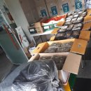 중앙동-17 이미지