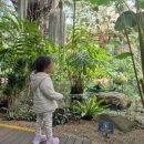 도시탈출민박 이미지