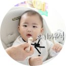 복땡이 | 후기이유식 재료 멸치 10개월아기 로하스밀
