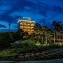 글램독 양양 이미지