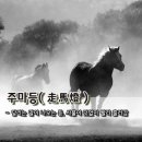 주마등 - 창원시 마산회원구 | 주마등