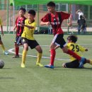 순천중앙초등학교 이미지