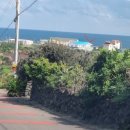 우도공인중개사사무소 이미지