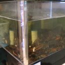 진참치수성점 이미지